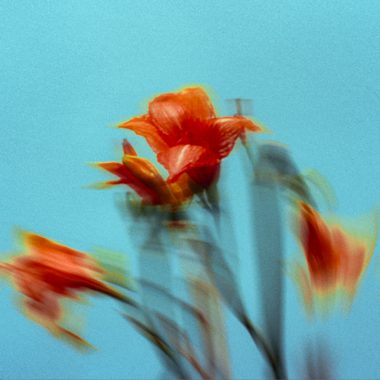 Cover artwork for Purée single Wait featuring vibrant blurred orange and red flowers set against a solid bright blue backdrop.